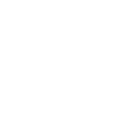 LIDERCARGO